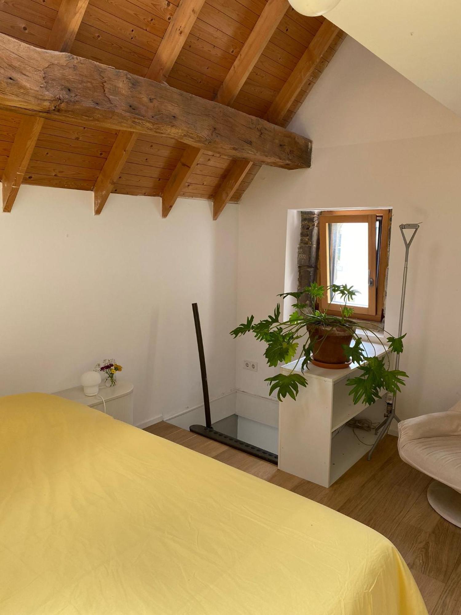 Bed and Breakfast Tanti Baci! Маастрихт Экстерьер фото